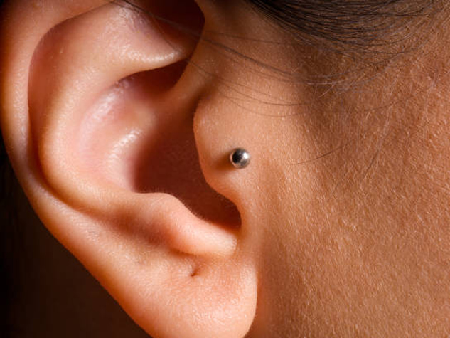 What is the tragus?